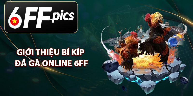 Giới Thiệu Bí Kíp Đá Gà Online 6FF