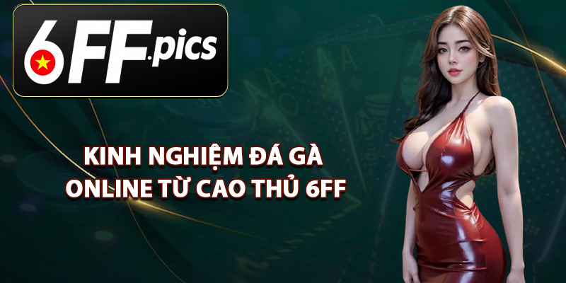 Kinh Nghiệm Đá Gà Online Từ Cao Thủ 6FF