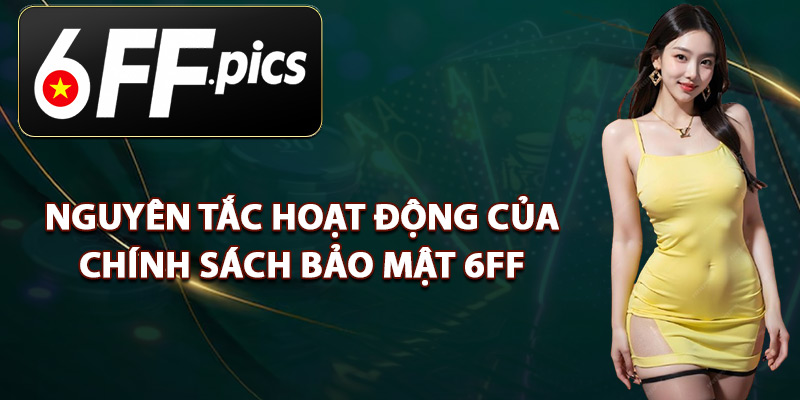 Nguyên Tắc Hoạt Động Của Chính Sách Bảo Mật 6FF